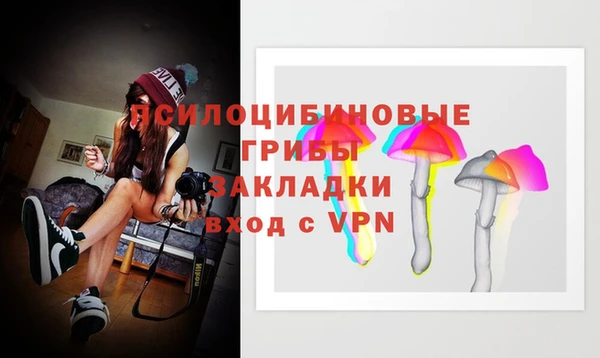 прущие крисы Балахна