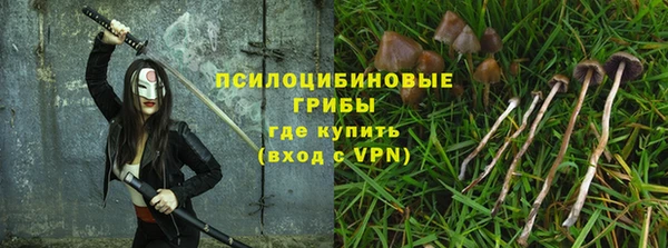 прущие крисы Балахна